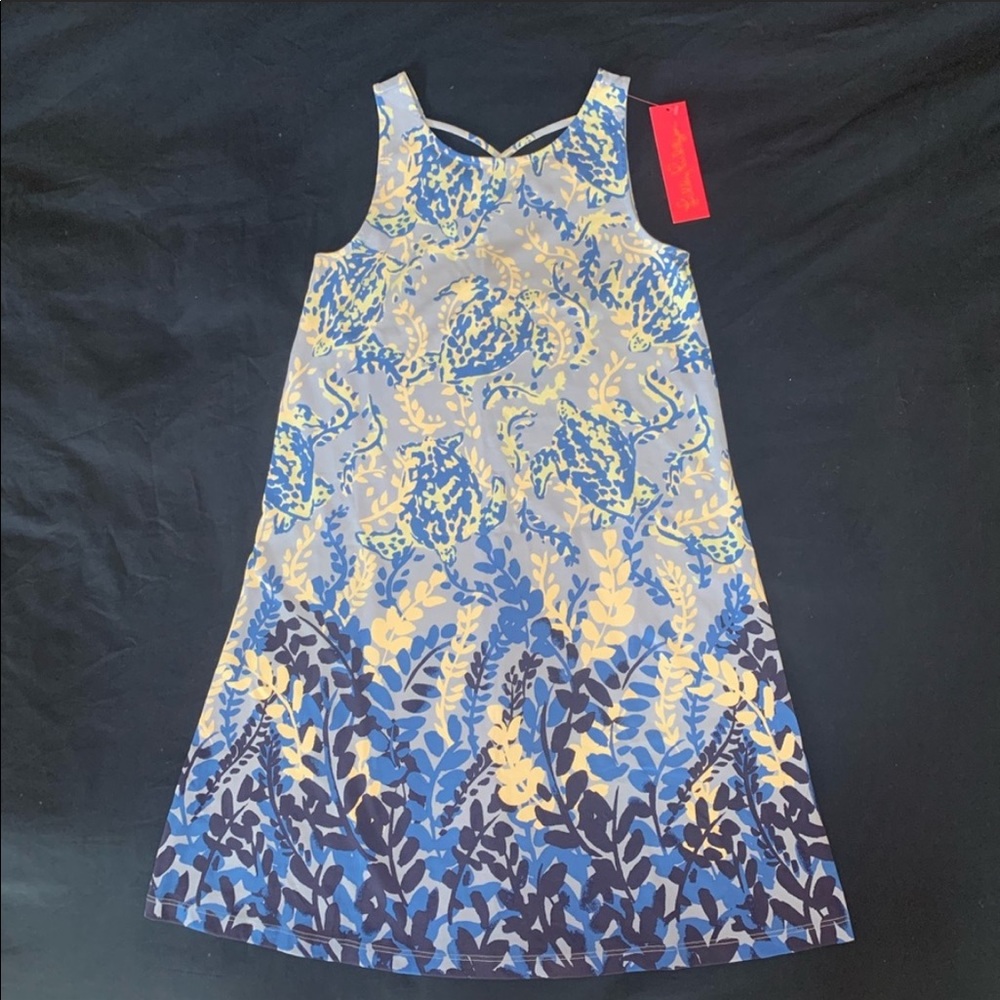 Lilly Pulitzer Kristen dress